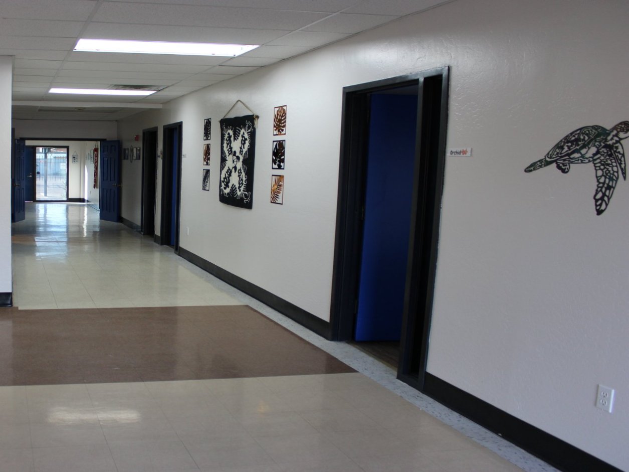 A hallway at Mana Health and Wellness, with honu turtle wall art beside the therapy rooms